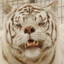 El Tigre