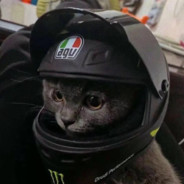 漂漂亮亮滴白给