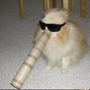 Dank Doggo