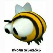 ♿︎ИГРАЮКАК ЖЬЖЬ