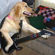 guitardog99