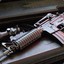 Tiger_7924