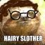 hairy slother