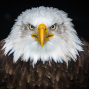 Galinha - steam id 76561198352275697