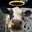 BluSol's Avatar