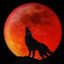 Moonwolf