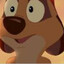 Timon