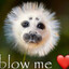 blow me