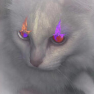 悲伤肥牛大碗面