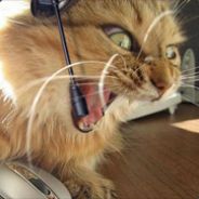 CodeInfused - steam id 76561197971085127