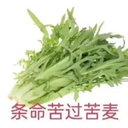 夏亚.阿兹纳布尔