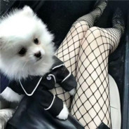 欺人太甚丁莉雪