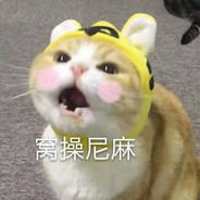 我很菜别压力我