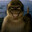 Amon