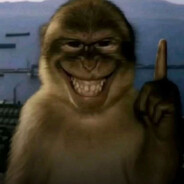 Amon