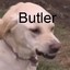 butler