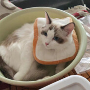 我叫团团我很可爱