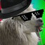 Lama Swagg