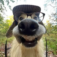 SVEN