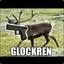 bobban