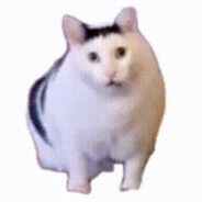 开鬼火的玛卡巴卡