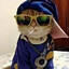 LOS GATOS || KéOTA?™
