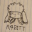 R4bbit
