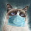 GrumpyCat CS