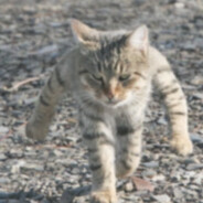 Gaboj - steam id 76561198065414328