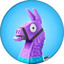 ak llama