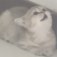 桥洞底下盖小被