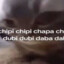 chipi chipi chapa chapa