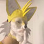 MasterTurkey