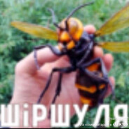 Нурлан Ки-Хун