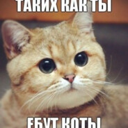 Ахуевший Steam avatar