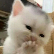 EMVASU - steam id 76561198250378556