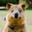 XQuokkaÁ