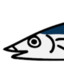 Pacific Saury