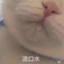 1501370837