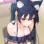 黑猫