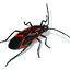 BUG SUPREME