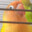 Aeric