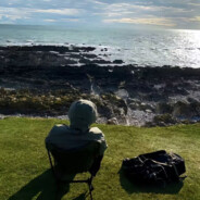 护城河没有简薇