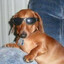 snoopy