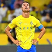 姐姐，就是今天了