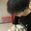 波斯教的猫