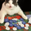 Cat-Poker