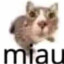 miau