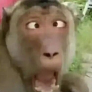 619714070 - steam id 76561199880383259