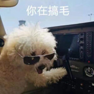 摇修老李的蛋